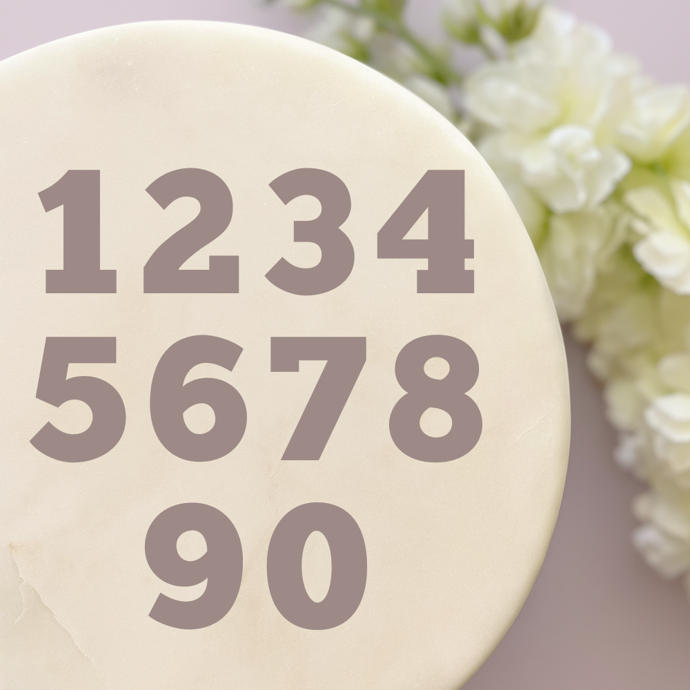 Number Cookie Cutter Set (Chunk five)