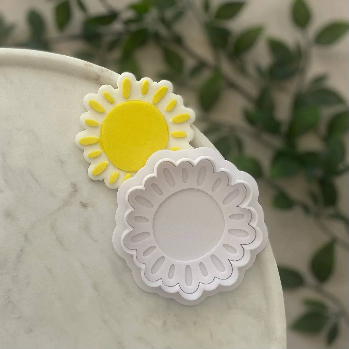 First trip around the sun debossers