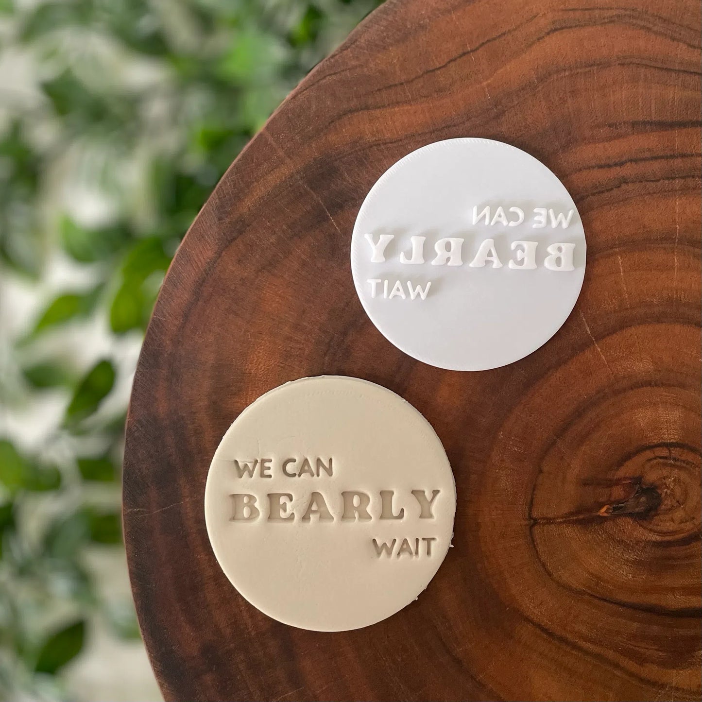 We can 'Bearly' Wait (style 5) Fondant Embosser