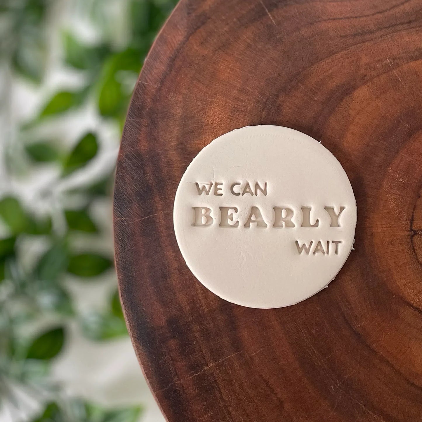 We can 'Bearly' Wait (style 5) Fondant Embosser
