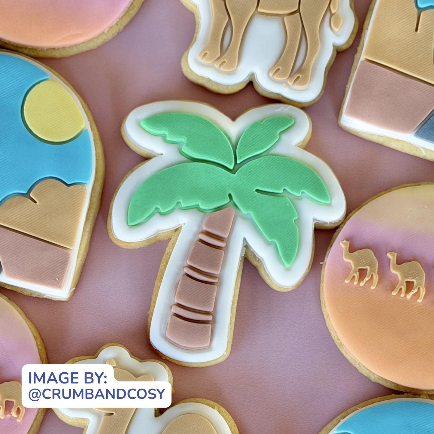 Palm Tree Cookie Cutter & Fondant Embosser