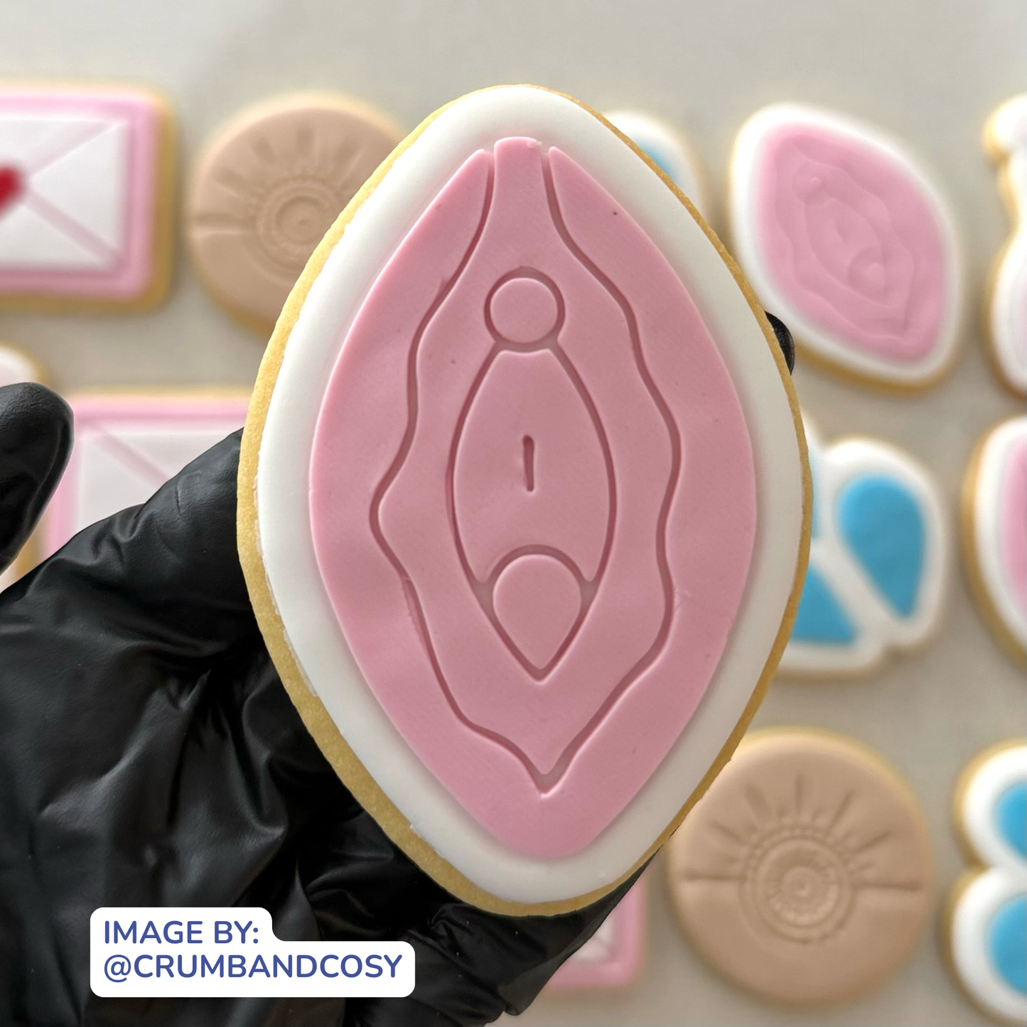 Female Anatomy Cookie Cutter & Fondant Embosser