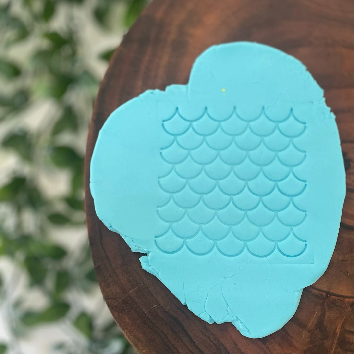 Scales Fondant Embosser Plate