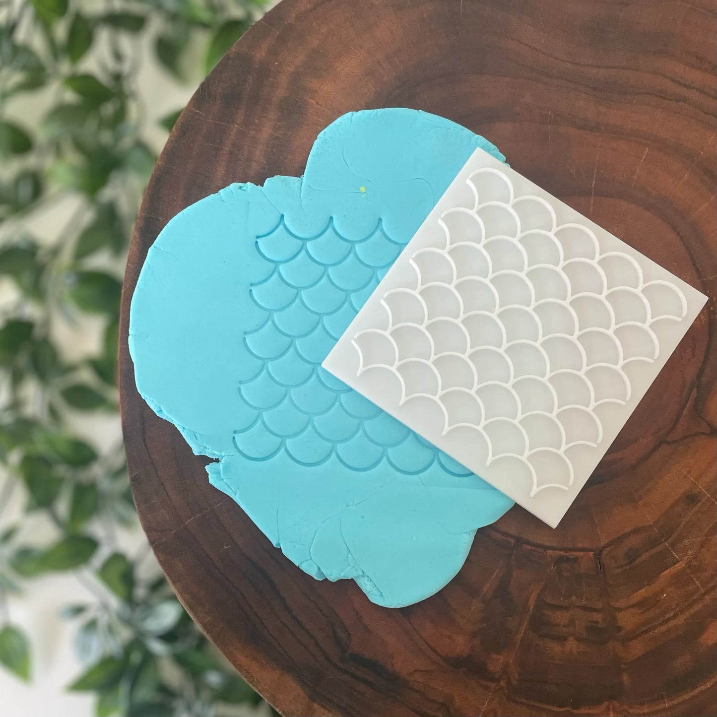 Scales Fondant Embosser Plate