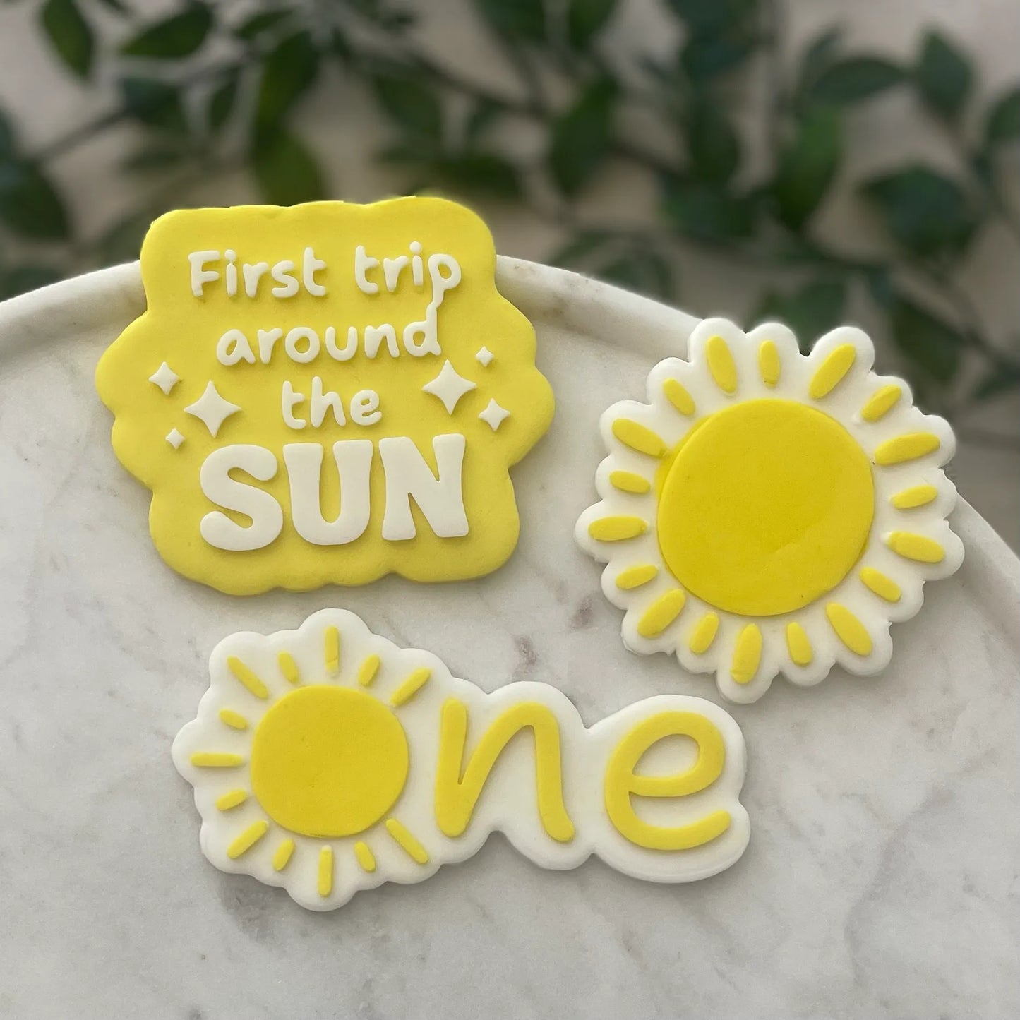 First trip around the sun debossers