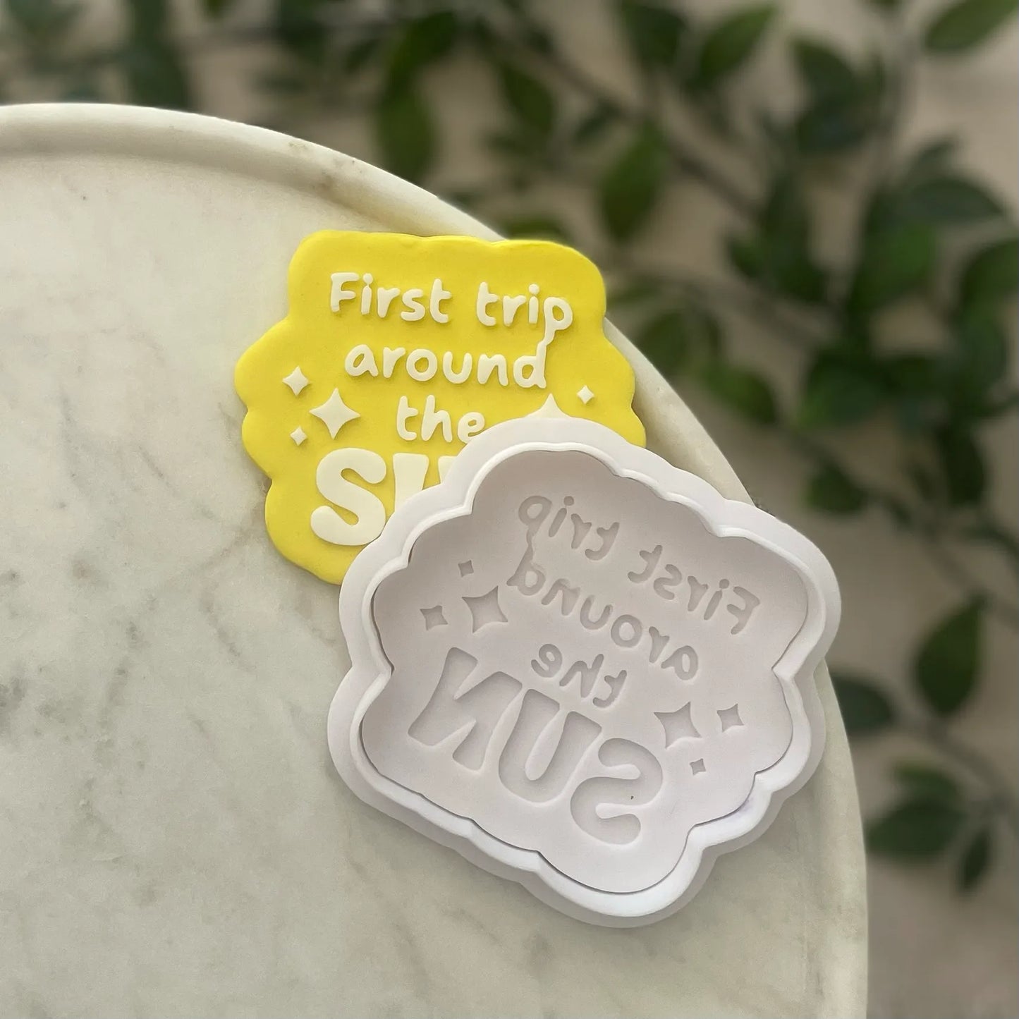 First trip around the sun debossers