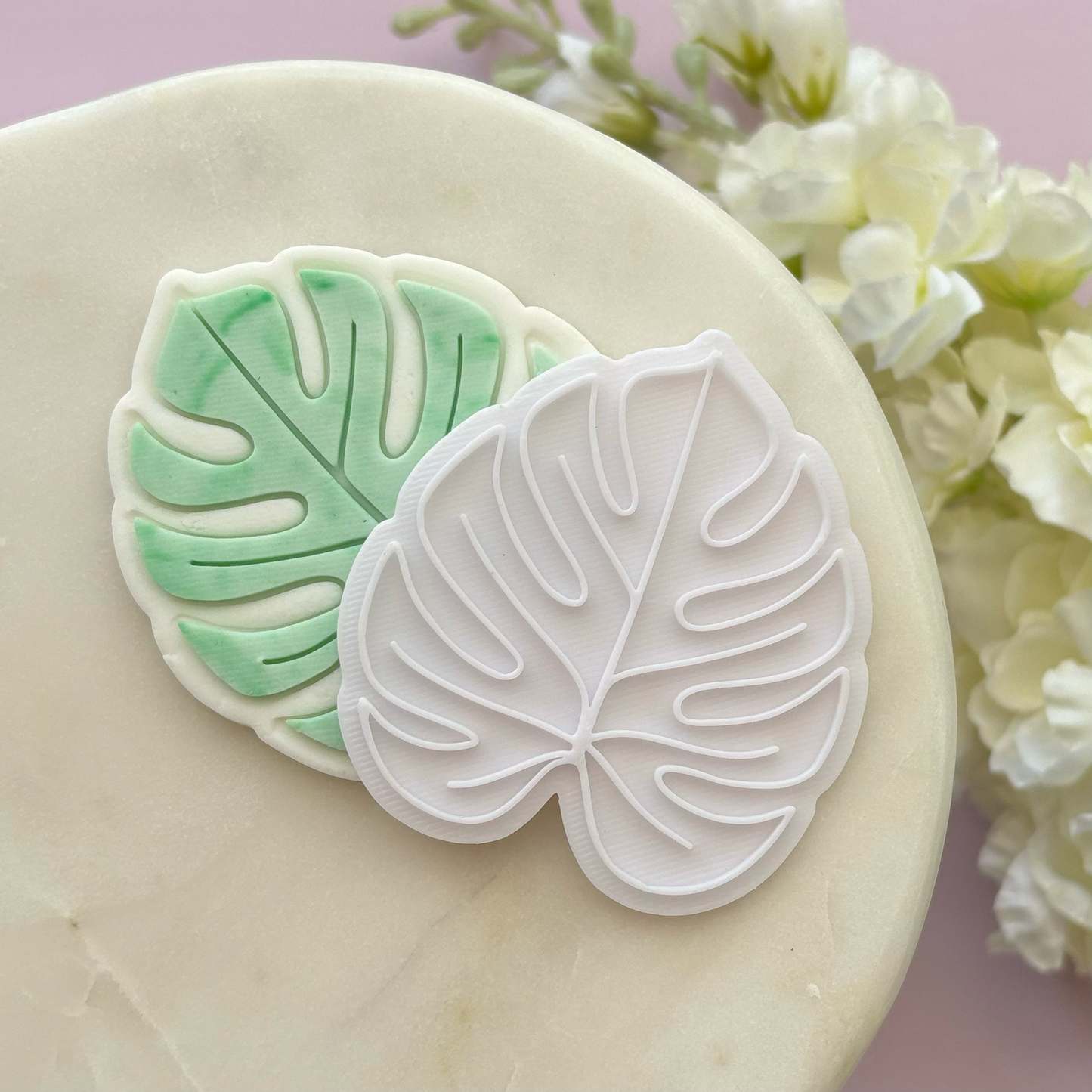 Monstera Leaf Cookie Cutter & Stamp