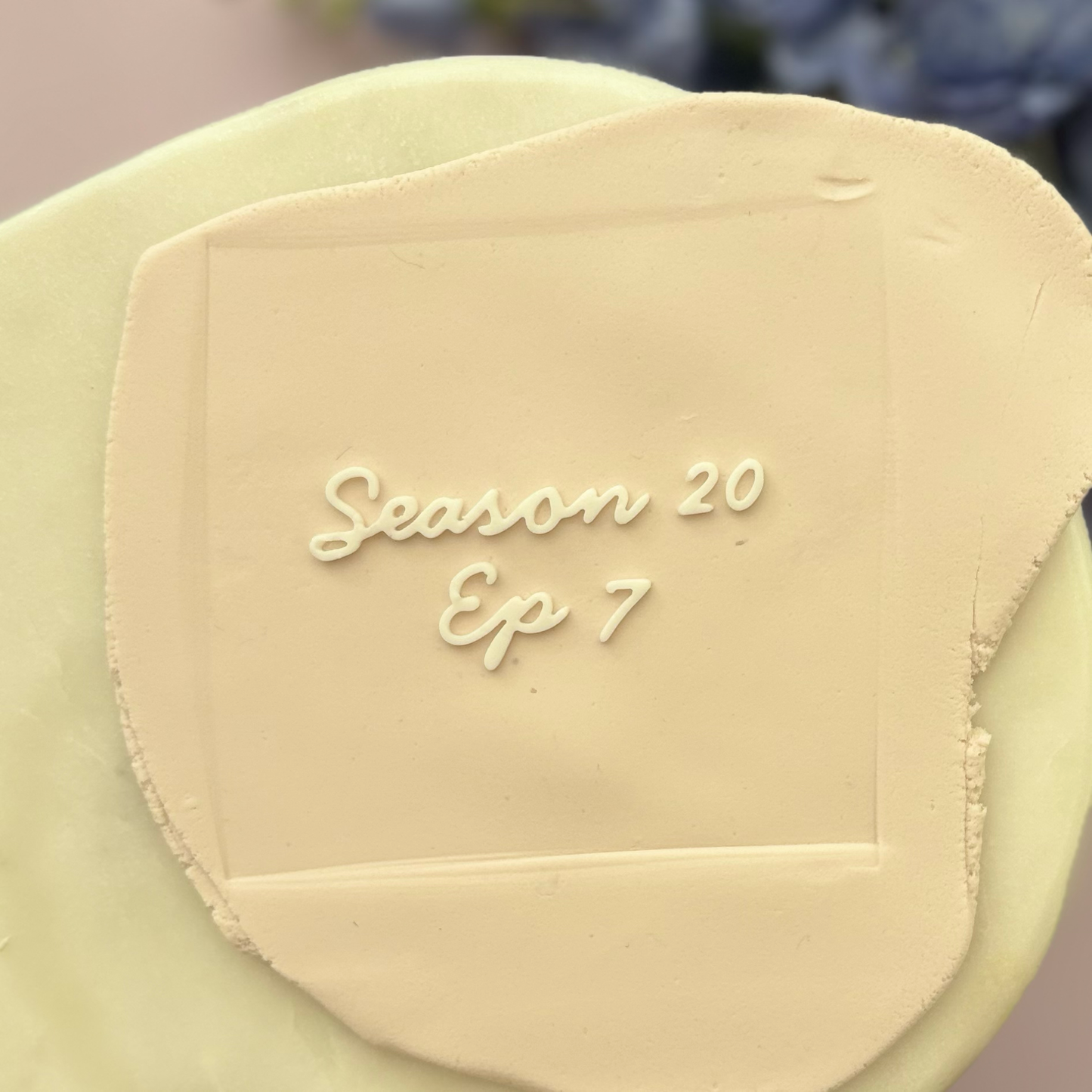 Season 20 Ep 7 Cookie Debossor