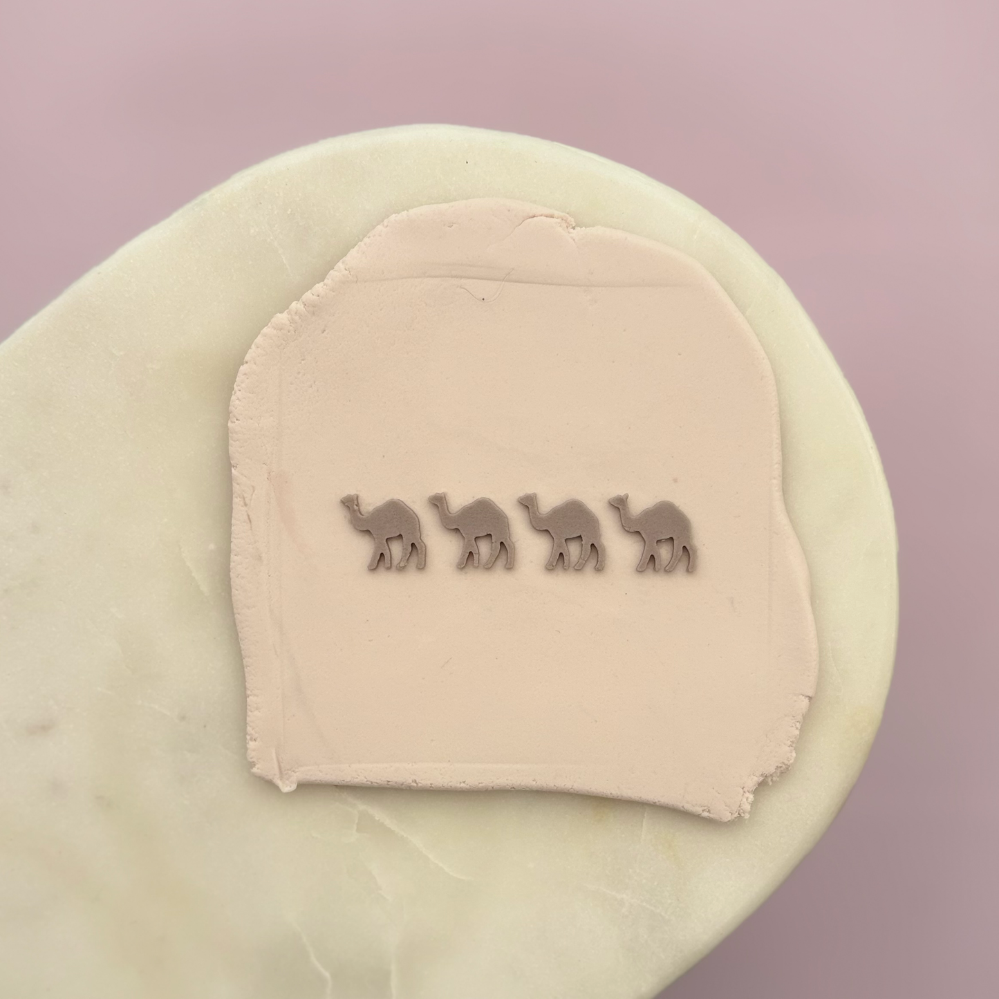 Camel Cookie Debossor