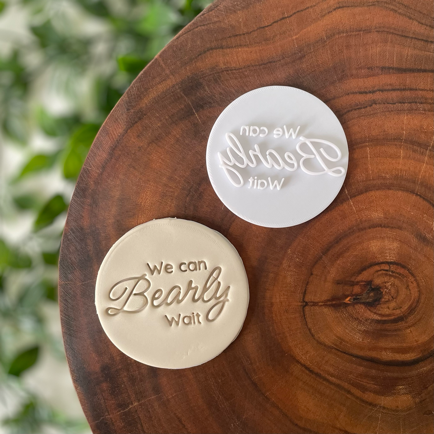 We can Bearly Wait Fondant Embosser Styles