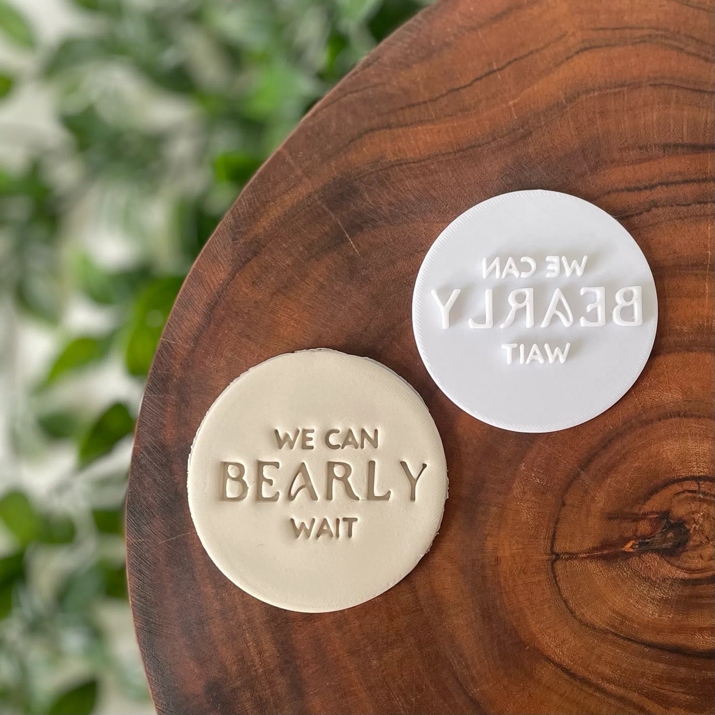 We can 'Bearly' Wait (style 4) Fondant Embosser