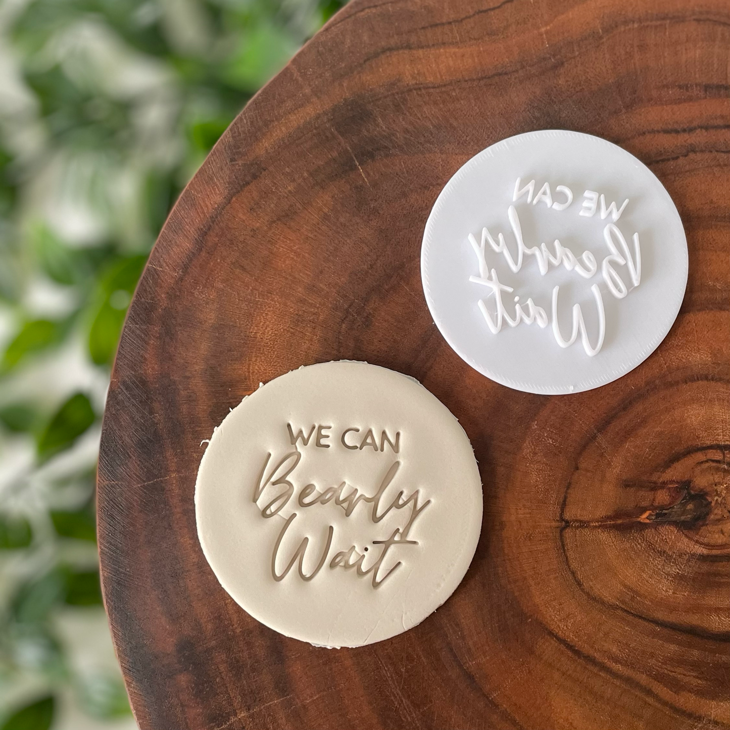 We can Bearly Wait Fondant Embosser Styles